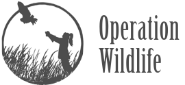 Logo operation wildllife